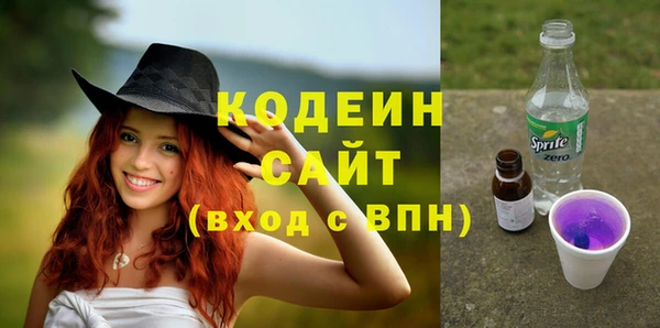 метадон Инта