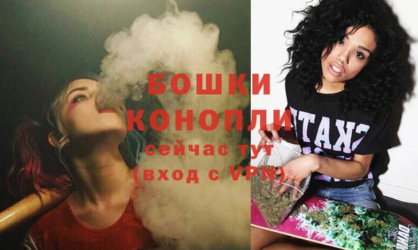метадон Инта