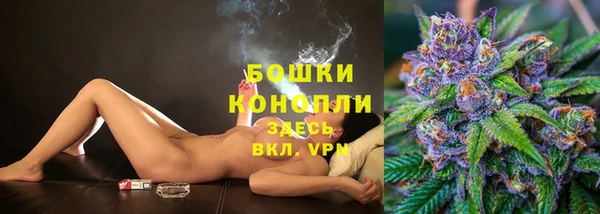 PSILOCYBIN Зеленокумск