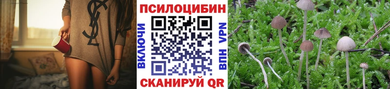 Галлюциногенные грибы мицелий  Купить закладки  Каргополь 